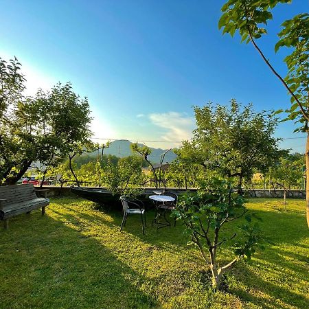 Country House Djurisic Virpazar Dış mekan fotoğraf