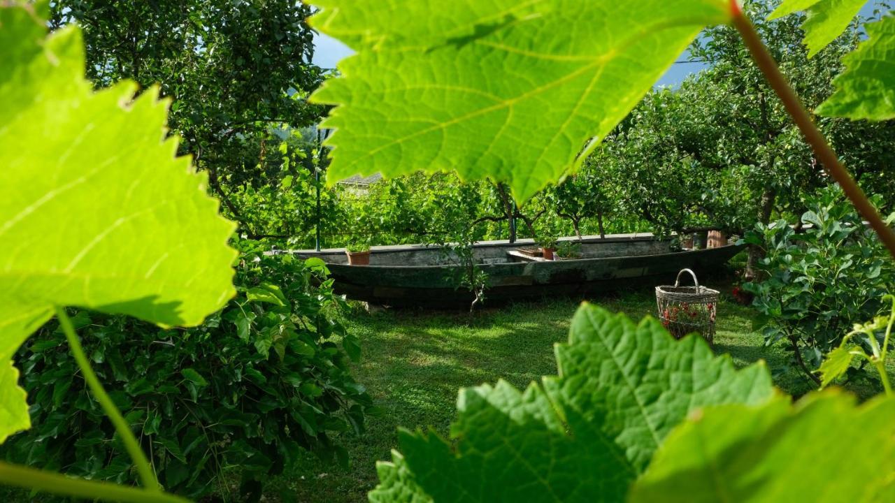 Country House Djurisic Virpazar Dış mekan fotoğraf