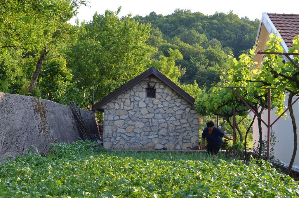 Country House Djurisic Virpazar Dış mekan fotoğraf